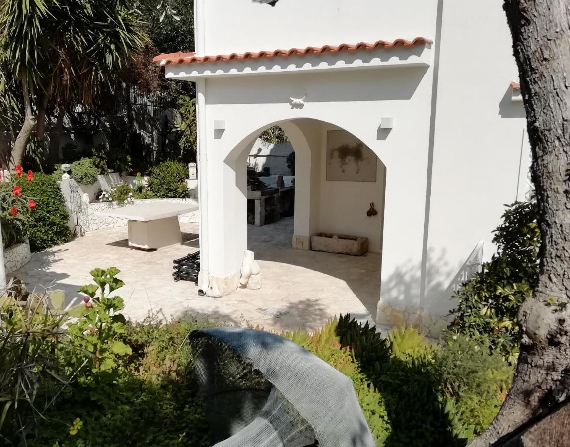 B&B L'Altare Bianco Vieste Zewnętrze zdjęcie