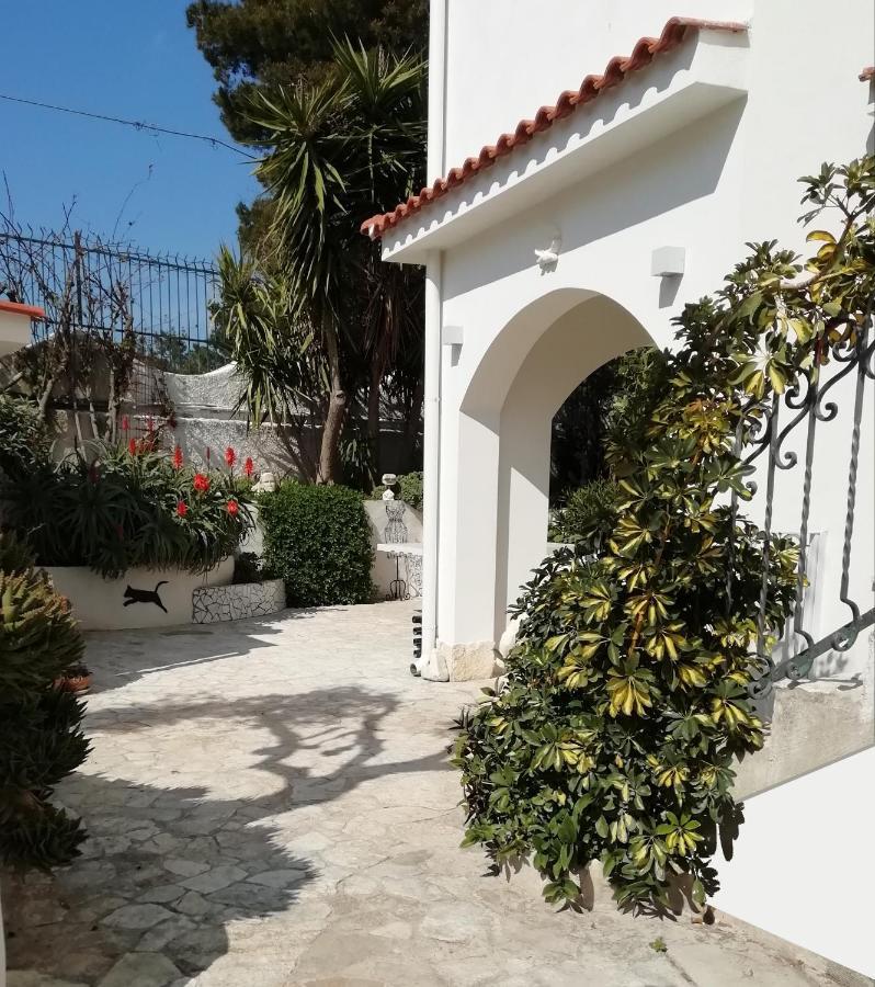 B&B L'Altare Bianco Vieste Zewnętrze zdjęcie