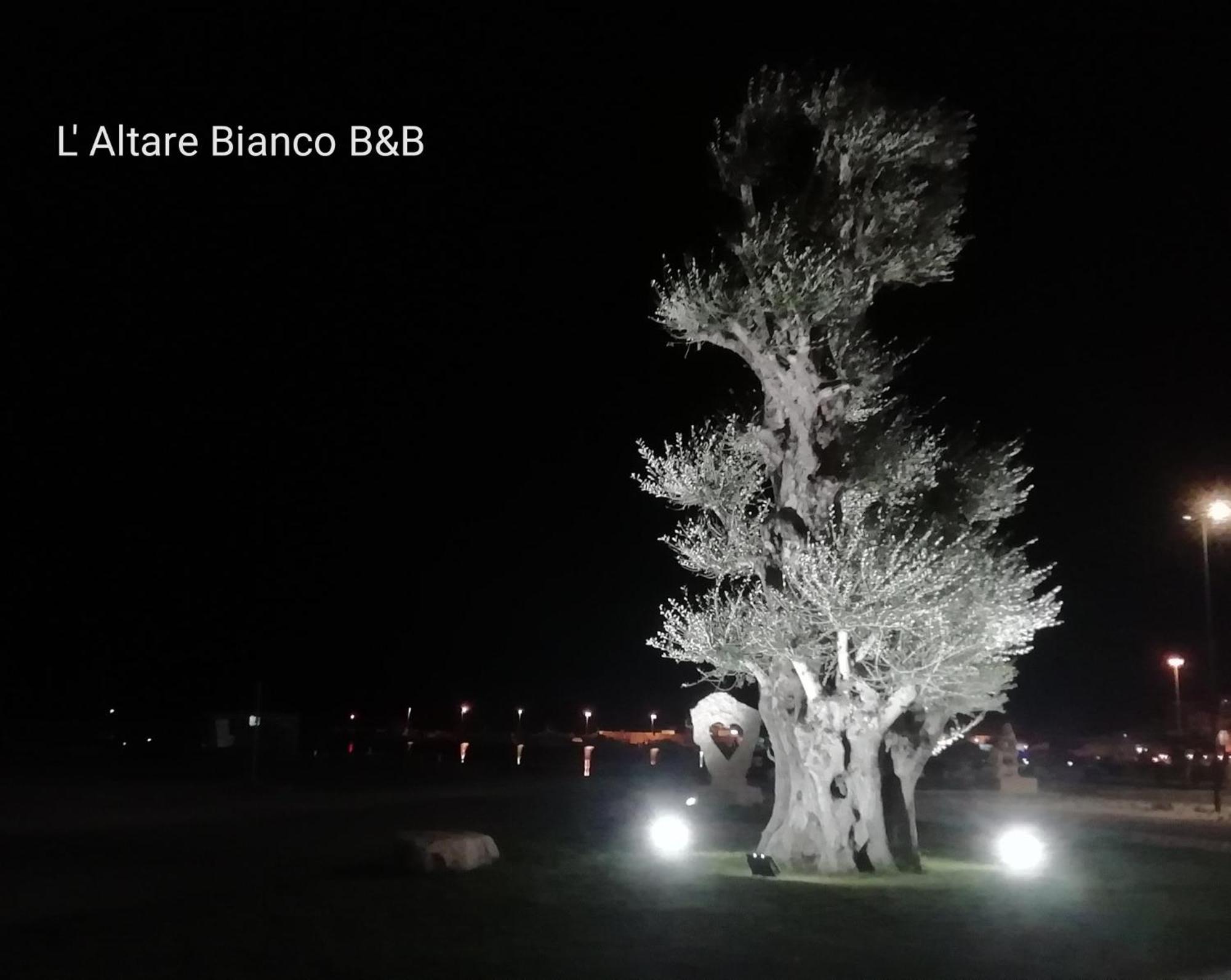 B&B L'Altare Bianco Vieste Zewnętrze zdjęcie